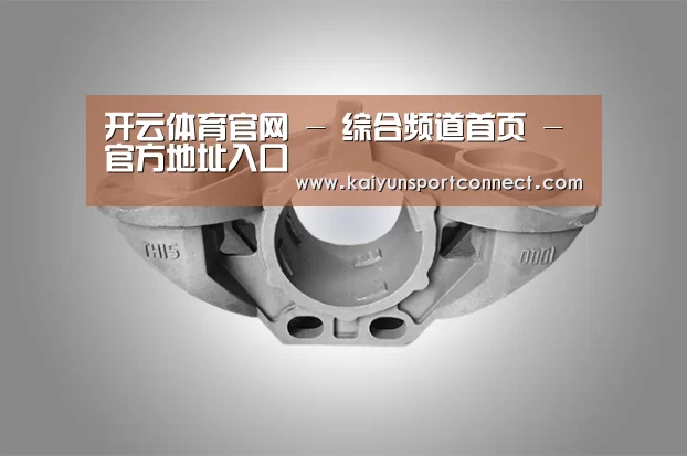 产品展示标题三