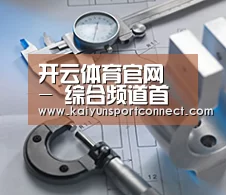 研发能力标题一(图1) 研发能力标题一(图1)
