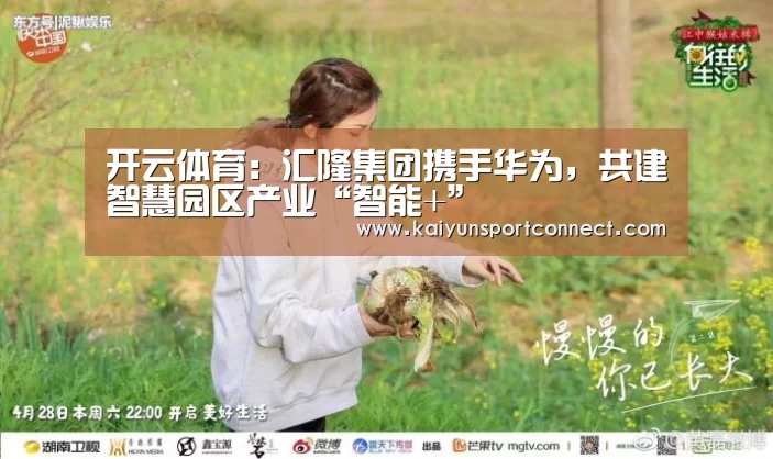 开云体育:汇隆集团携手华为,共建智慧园区产业“智能+”(图2) 开云首页