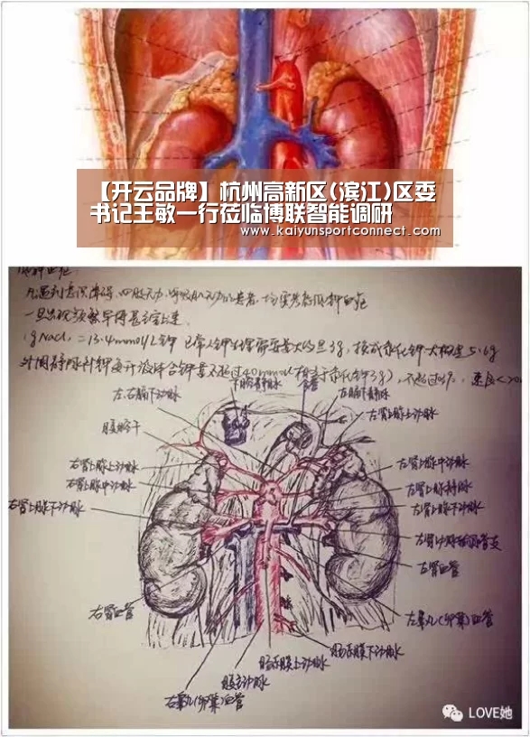 开云官网