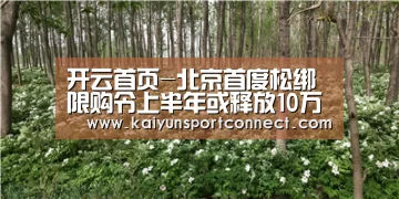 开云首页-北京首度松绑限购令上半年或释放10万个新能源车指标(图1) 开云品牌